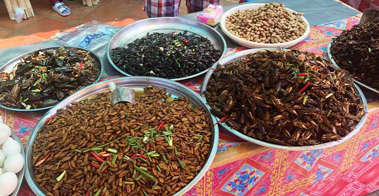Eating bugs in Cambodia