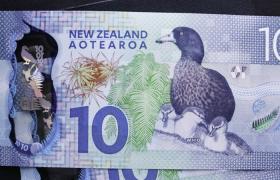 New Zealand note with Kiwi fruit